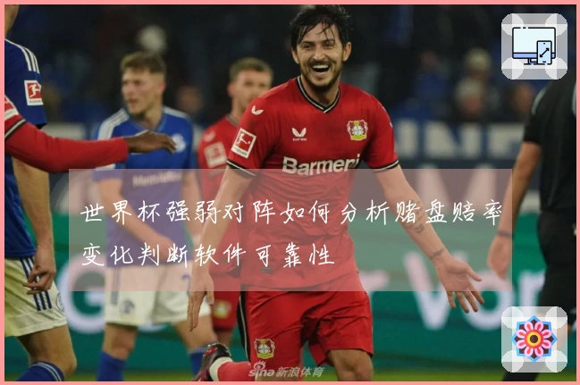 世界杯强弱对阵如何分析赌盘赔率变化判断软件可靠性