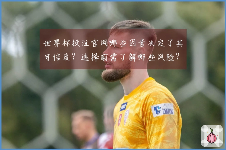 世界杯投注官网哪些因素决定了其可信度？选择前需了解哪些风险？