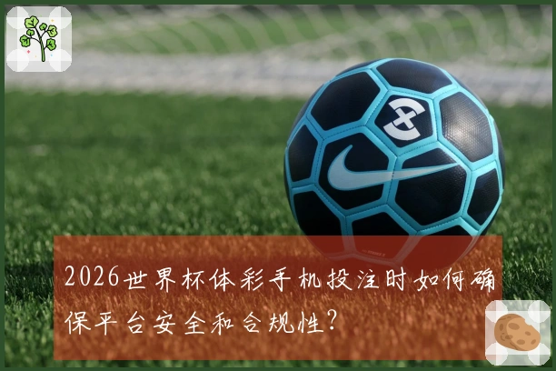 2026世界杯体彩手机投注时如何确保平台安全和合规性？