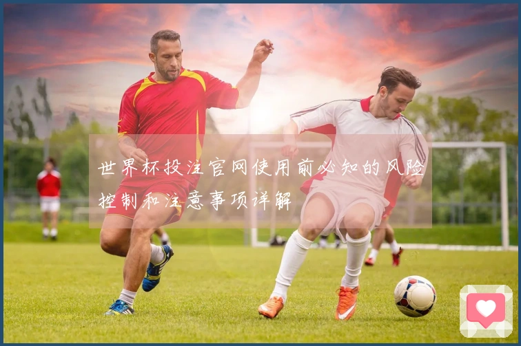 世界杯投注官网使用前必知的风险控制和注意事项详解