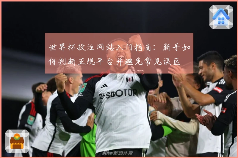 世界杯投注网站入门指南：新手如何判断正规平台并避免常见误区