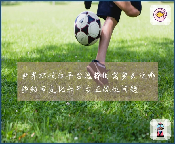 世界杯投注平台选择时需要关注哪些赔率变化和平台正规性问题