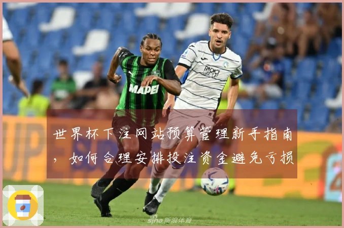 世界杯下注网站预算管理新手指南，如何合理安排投注资金避免亏损技巧